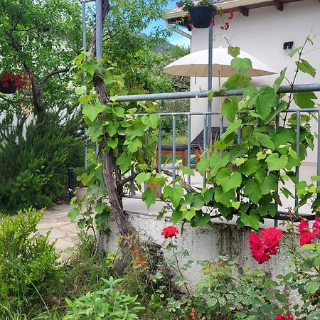 Ioannis Houses - Gemuetliches Ferienhaus Im Olivenhain Skala Potamia  Dış mekan fotoğraf