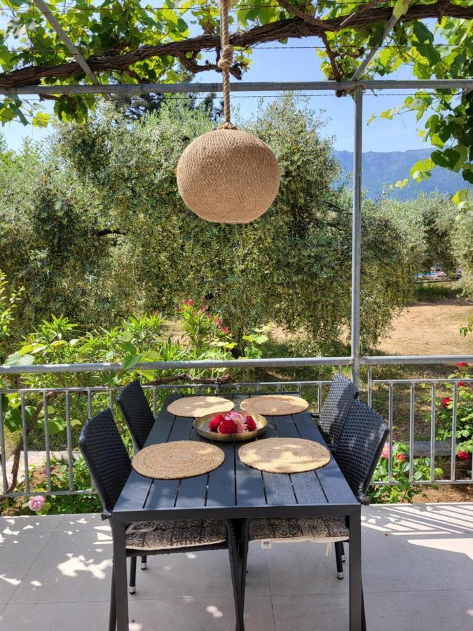Ioannis Houses - Gemuetliches Ferienhaus Im Olivenhain Skala Potamia  Dış mekan fotoğraf