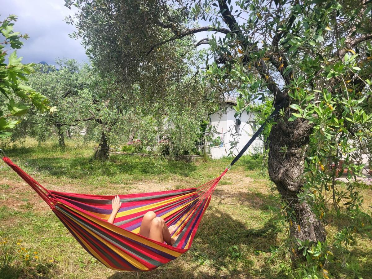 Ioannis Houses - Gemuetliches Ferienhaus Im Olivenhain Skala Potamia  Dış mekan fotoğraf