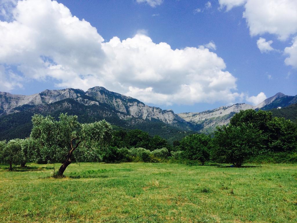 Ioannis Houses - Gemuetliches Ferienhaus Im Olivenhain Skala Potamia  Dış mekan fotoğraf